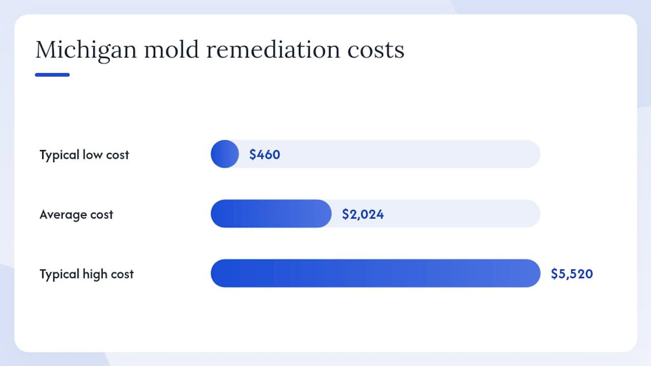 What Michigan Law Requires You to Disclose About Mold — overview diagram